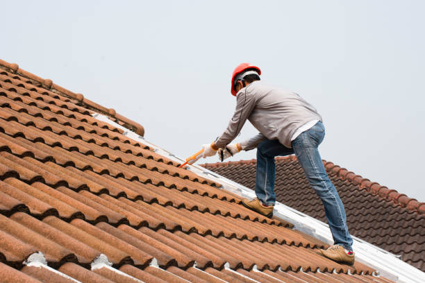 Best Roof Maintenance and Cleaning  in Englewood, OH